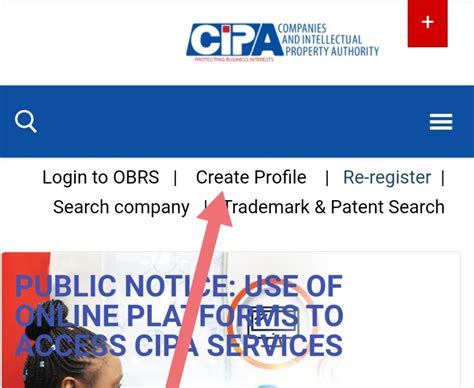 cipa company search by name in botswana